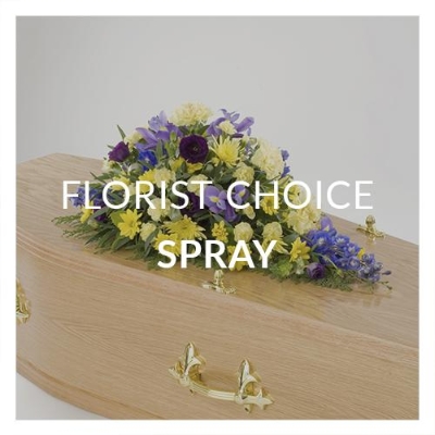Florist Choice   Single Ended Spray